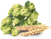 Hops and Wheat